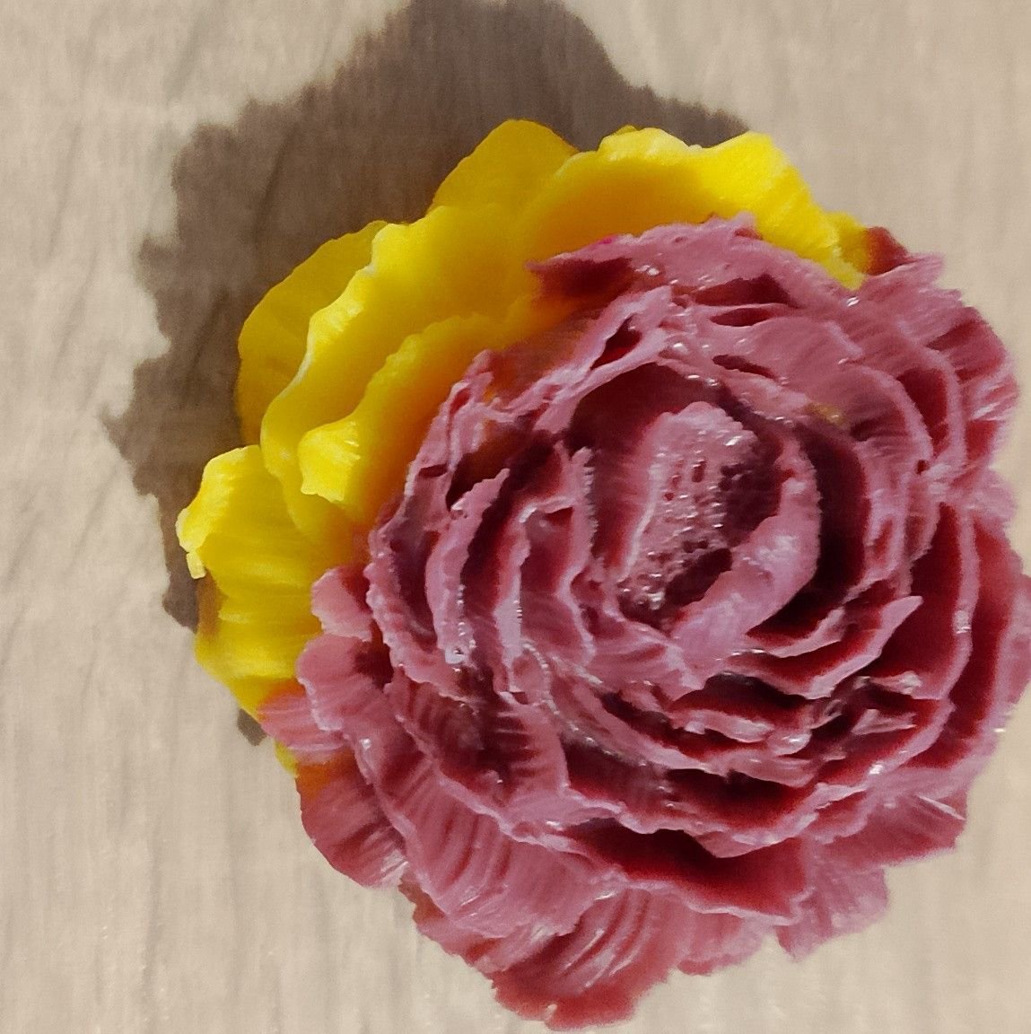 Close-up of a full rose bloom with pink petals and yellow outer petals, casting a shadow on a beige background
